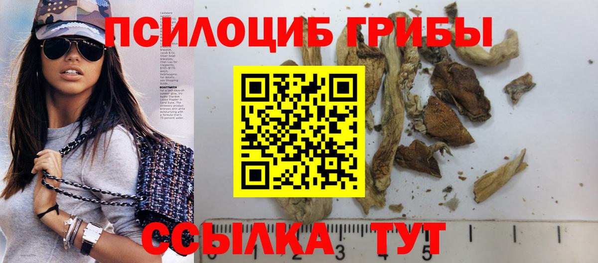 Галлюциногенные грибы MAGIC MUSHROOMS  Галлюциногенные грибы GOLDEN TEACHER  Гатчина  Вход с VPN 
